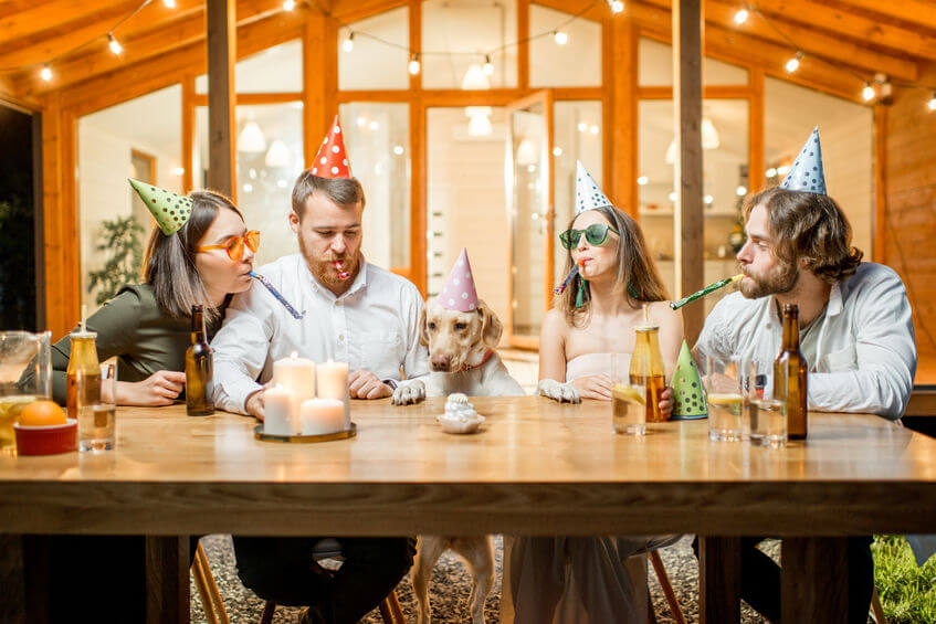 dog party | Ultimate Pet Nutrition