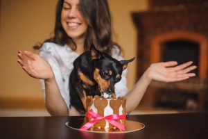 dog birthday cake | Ultimate Pet Nutrition