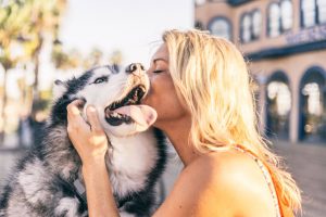 happy dogs | Ultimate Pet Nutrition