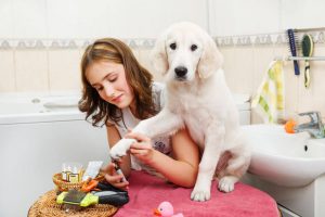 grooming dog | Ultimate Pet Nutrition