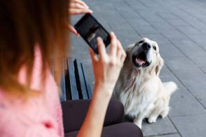 pet photography | Ultimate Pet Nutrition