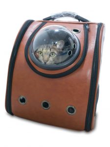 cat in travel carrier | Ultimate Pet Nutrition