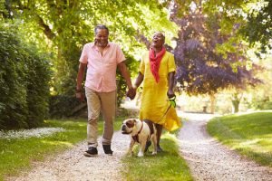 retirement stage | Ultimate Pet Nutrition