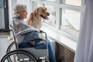 elderly woman with dog | Ultimate Pet Nutrition