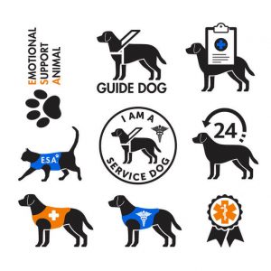 service dog vest emblems | Ultimate Pet Nutrition