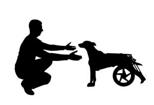 dog with wheelchair | Ultimate Pet Nutrition