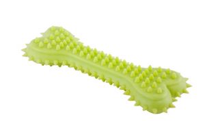 dental doggy toy