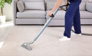 steam cleaning rug | Ultimate Pet Nutrition