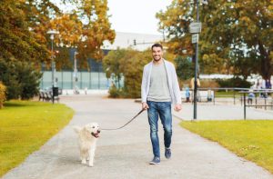 walking dog | Ultimate Pet Nutrition