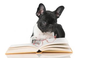 dog books | Ultimate Pet Nutrition