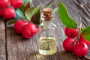 wintergreen essential oil | Ultimate Pet Nutrition