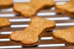 pumpkin dog treats | Ultimate Pet Nutrition