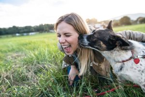 dog licking womans face | Ultimate Pet Nutrition