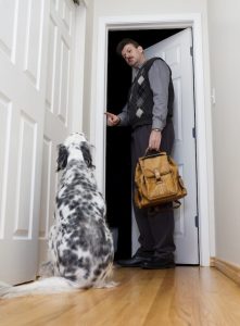 saying bye to dog | Ultimate Pet Nutrition