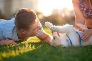 playing with puppy | Ultimate Pet Nutrition