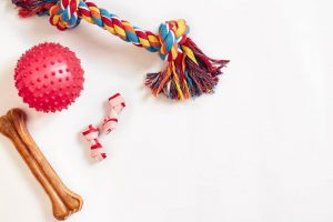 dog toys | Ultimate Pet Nutrition