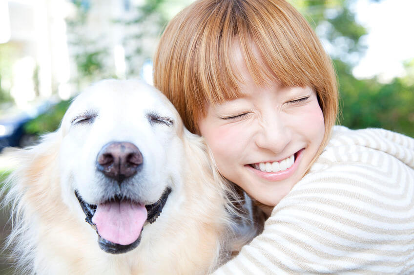 positive reinforcement | Ultimate Pet Nutrition