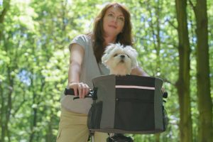 bike basket for dog | Ultimate Pet Nutrition