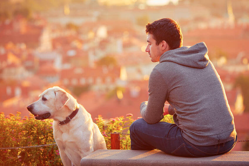 Dog with owner, both peacefully sitting on bench