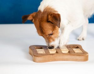 dog puzzle | Ultimate Pet Nutrition